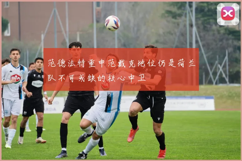 范德法特重申范戴克地位仍是荷兰队不可或缺的核心中卫
