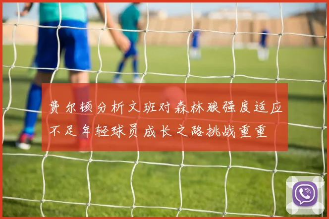 费尔顿分析文班对森林狼强度适应不足年轻球员成长之路挑战重重