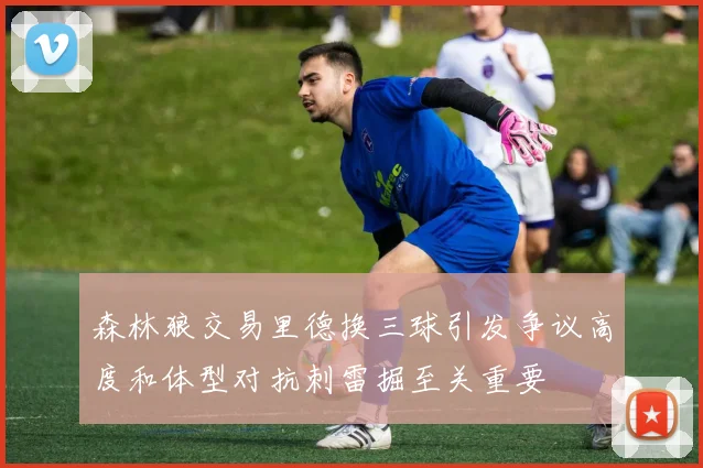 森林狼交易里德换三球引发争议高度和体型对抗刺雷掘至关重要